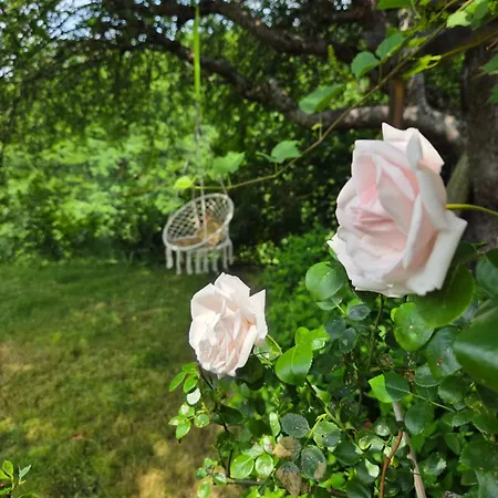 Сasa de vacaciones Ferienhaus_natikrausz St. Martin (Klagenfurt-Land)